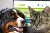 Geld zurück vom Finanzamt
