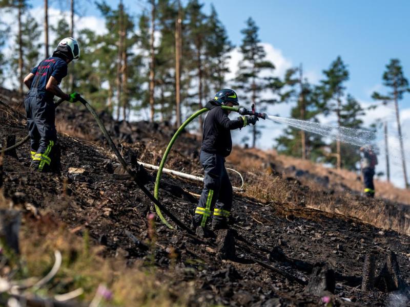 Nach Waldbrand in Thüringen: Katastrophen-Touris werden zum Problem! Stadt greift durch