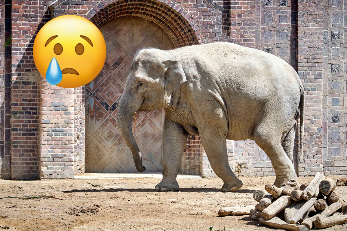 zoo leipzig