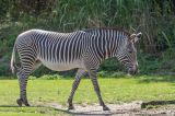 zoo leipzig