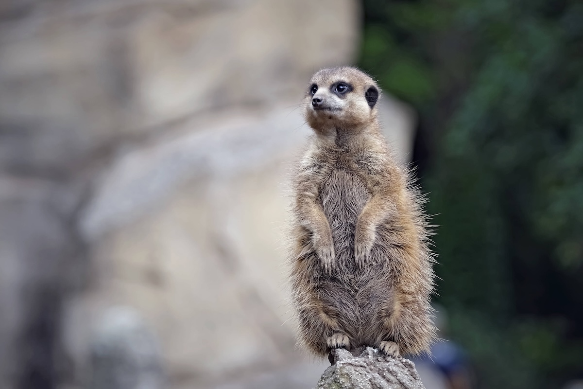 Zoo Leipzig