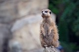 Zoo Leipzig