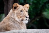 Zoo Leipzig