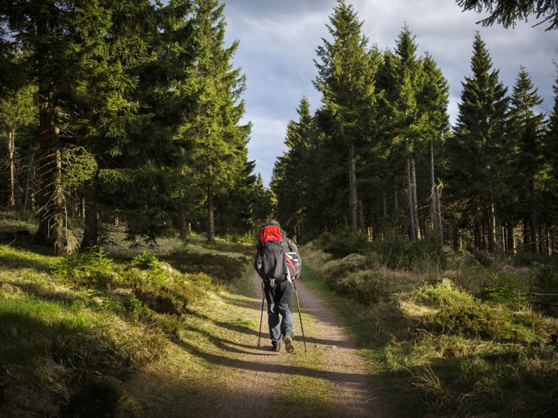 Wanderer nimmt fatale Abkürzung! Heftiger Absturz in Thüringen