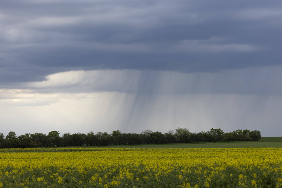 Wetter-Wahnsinn-in-Deutschland-Th-ringer-bekommen-es-zu-sp-ren
