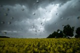 wetter thüringen