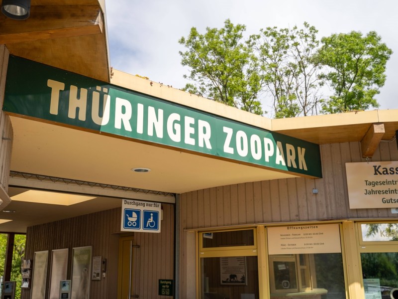 Koloss verschwindet aus dem Zoo Erfurt – offenbar waren Diebe am Werk