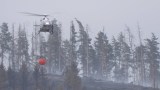 Thüringen Waldbrand