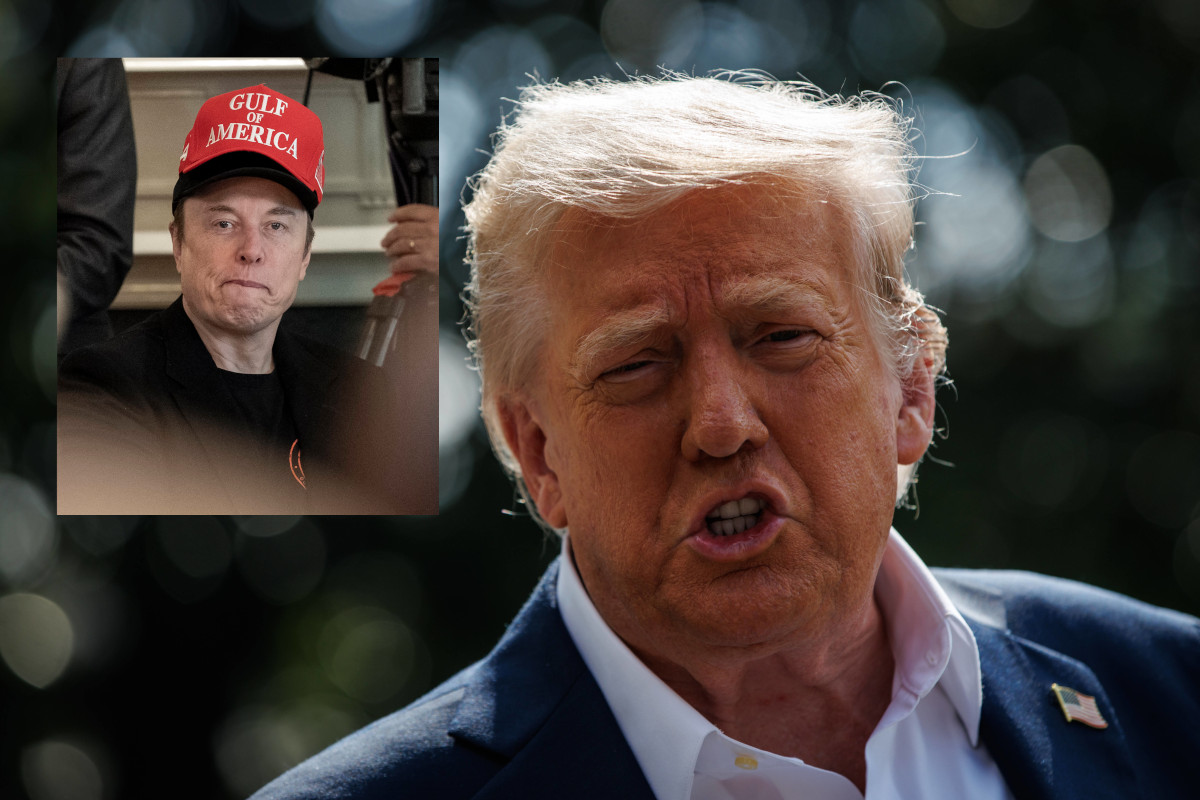 Insiderin-verr-t-Musk-schw-rmte-von-Trump-als-Vaterfigur-